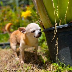 Meet your Posher, Victoria